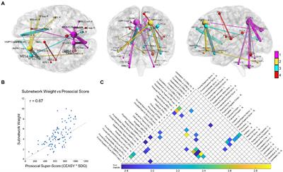 Resting state brain subnetwork relates to prosociality and compassion in adolescents